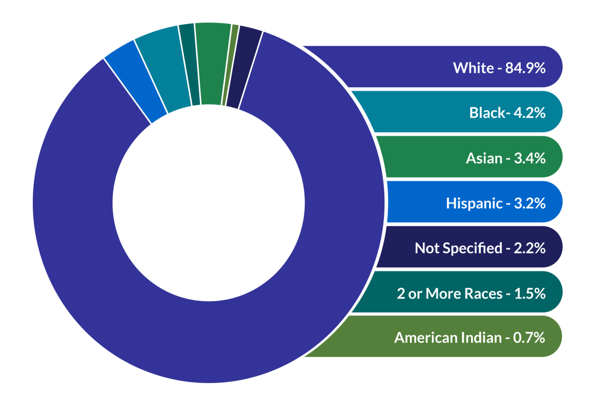 DPI Diversity Infographic